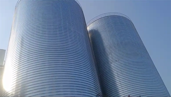 隆尧2座混凝土高架卷板仓